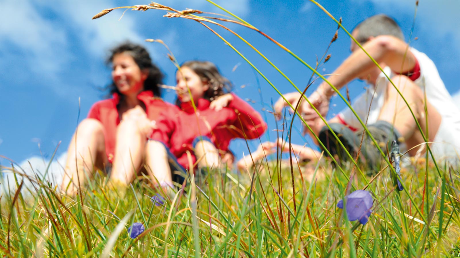 a family sitting on a meadow in summer near Hotel Alpenfrieden