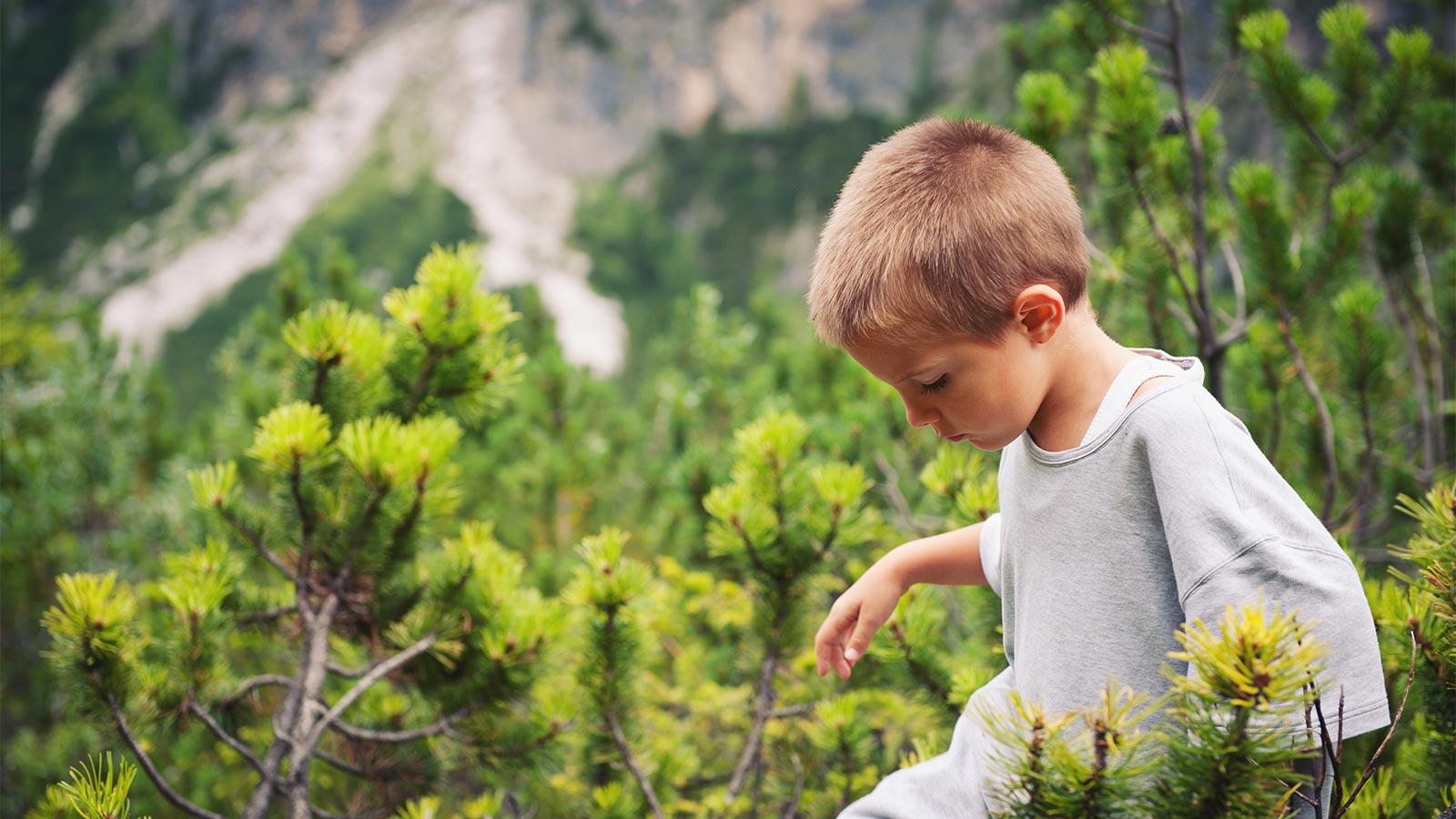 un bambino passeggia nel bosco di Maranza d'estate