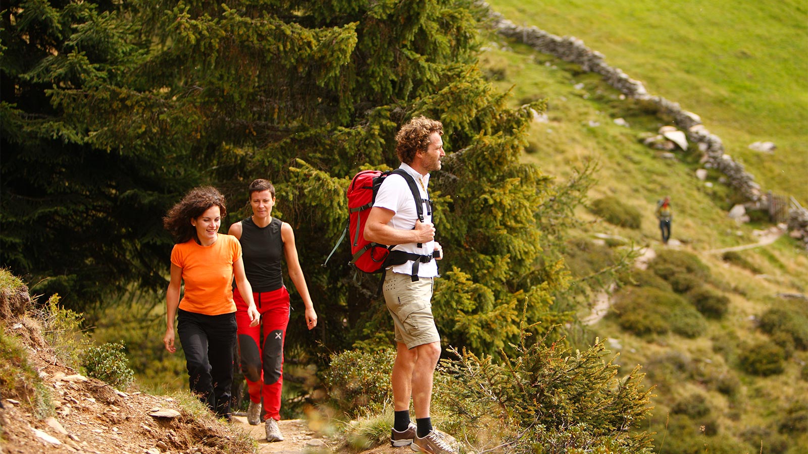 a family during a hike in the mountains through forests near Hotel Alpenfrieden